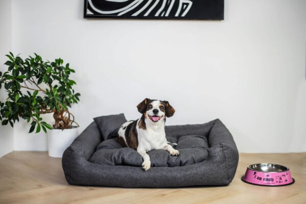 Vsepropejska Lux nadýchaný pelech pro psa Barva: Šedá