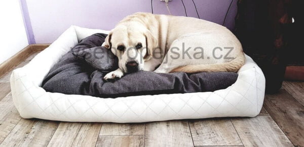Vsepropejska Delux kožený pelech pro psa s polštářkem Barva: Bílá