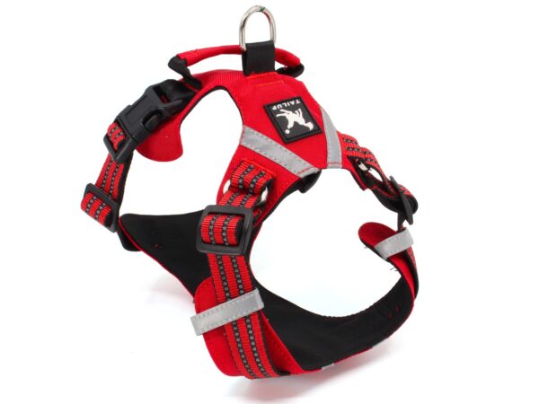 Vsepropejska Zodo sportovní postroj  pro psa | 39 – 92 cm Barva: Červená